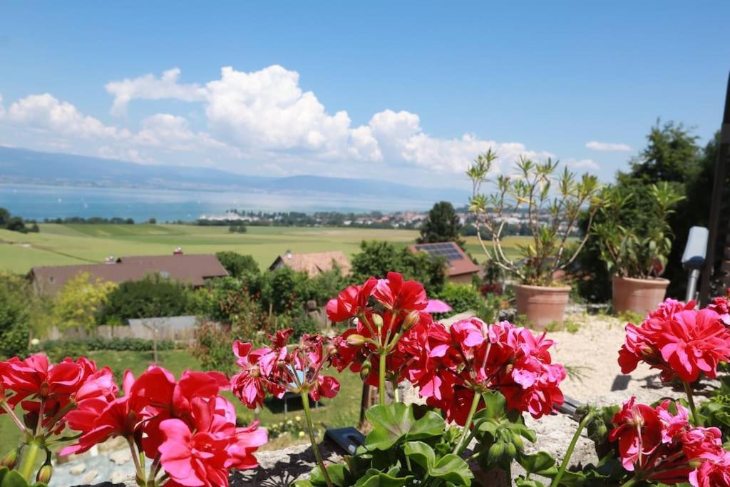Chalet With Stunning Lake And Mountain Views Avec Une Vue A Couper Le Souffle, Une Spacieuse Terrasse Et Jardin Chatillon  Exterior foto